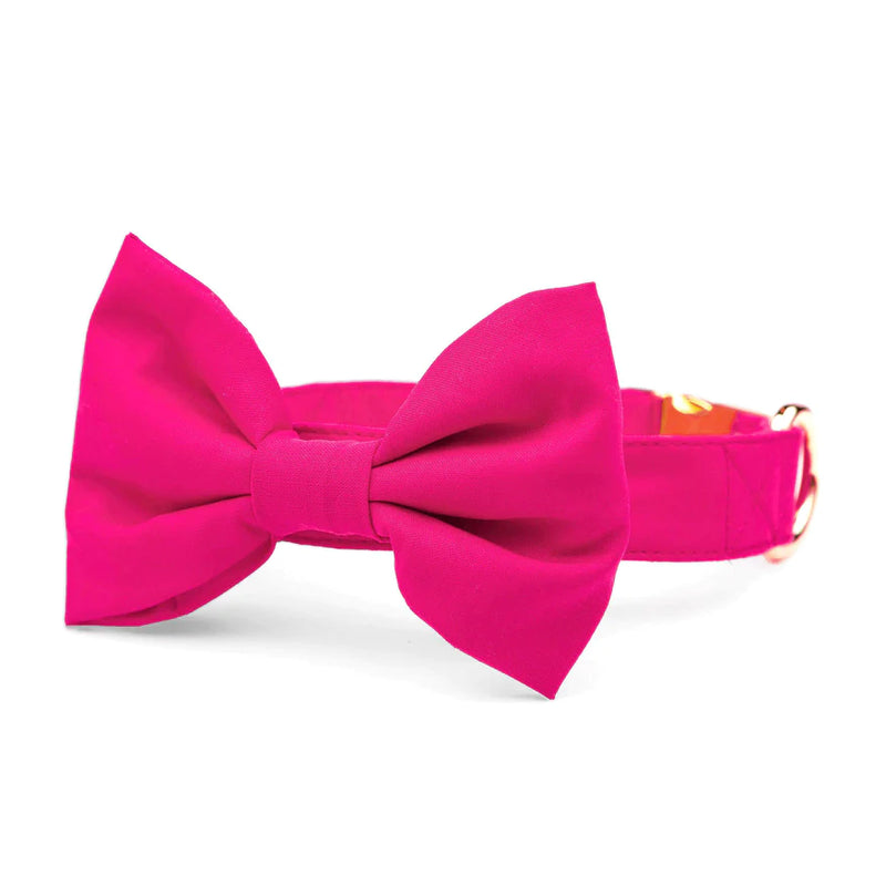 Hot Pink Bowtie Collar